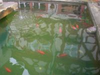 Bild 04