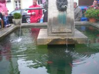 Bild 06